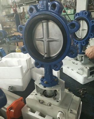 Op maat gemaakte ondersteuning ODM handmatig roestvrij staal worm gear lug vlinder sanitaire klep