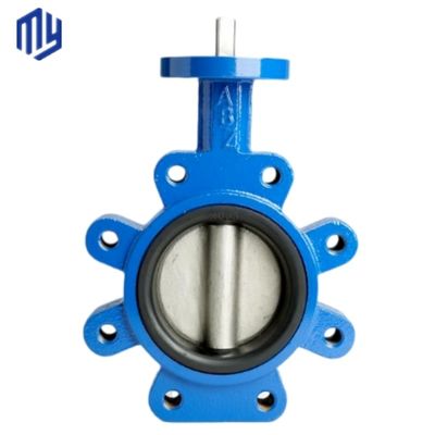 Ss304 Centrale lijn Diafragma vlinder klep met handwiel roestvrij staal Worm Gear Lug