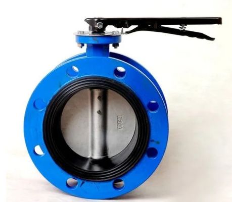 DN100 PN16 Elektrische dubbele vlies vlinderklep met EPDM-stoel en 304/CF8 schijf