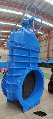 Afhankelijk van de specificaties CI DI Rubber Seal Gate Valve met de beste prijzen