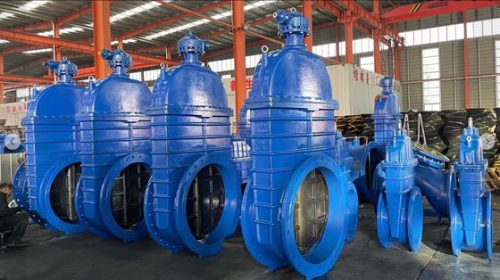 Afhankelijk van de specificaties CI DI Rubber Seal Gate Valve met de beste prijzen