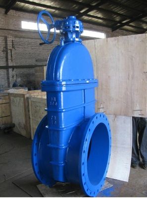 Afhankelijk van de specificaties CI DI Rubber Seal Gate Valve met de beste prijzen