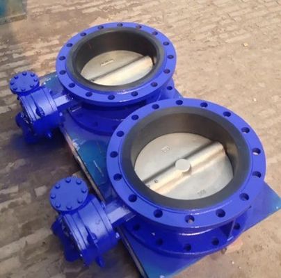 ANSI DIN BS Standard Double Flange Butterfly Valve voor aangepaste toepassingen