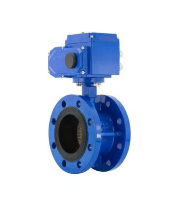 ANSI DIN BS Standard Double Flange Butterfly Valve voor aangepaste toepassingen