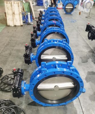 Grote grootte DN100-DN2600 DI Ductiel ijzer dubbel excentrische vlinderklep
