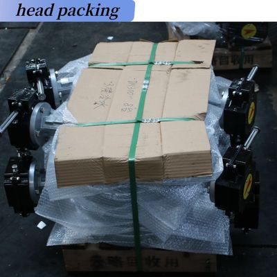 Uitstekende hefboom bediend volledig PTFE bekleed concentrisch DIN BS Control Butterfly Valve