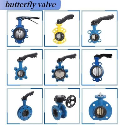 Uitstekende hefboom bediend volledig PTFE bekleed concentrisch DIN BS Control Butterfly Valve