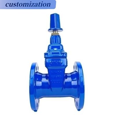 Op maat gemaakte stuurwiel werking Flanged Casr Iron Wedge Disc Gate Valve met elastische EPDM rubberen stoel
