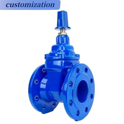 Op maat gemaakte stuurwiel werking Flanged Casr Iron Wedge Disc Gate Valve met elastische EPDM rubberen stoel