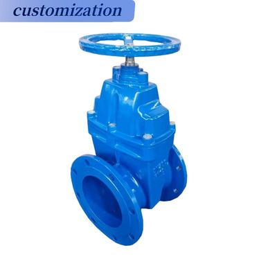 Op maat gemaakte stuurwiel werking Flanged Casr Iron Wedge Disc Gate Valve met elastische EPDM rubberen stoel