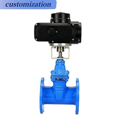 Op maat gemaakte stuurwiel werking Flanged Casr Iron Wedge Disc Gate Valve met elastische EPDM rubberen stoel