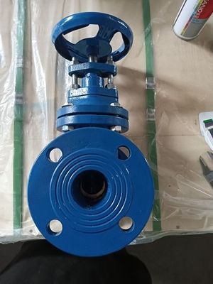 Duurzaam medium temperatuur Y-type strainer gietijzer messing zegel metalen stoelpoortklep