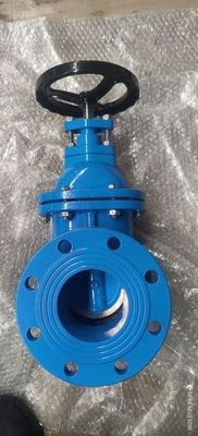 Duurzaam medium temperatuur Y-type strainer gietijzer messing zegel metalen stoelpoortklep
