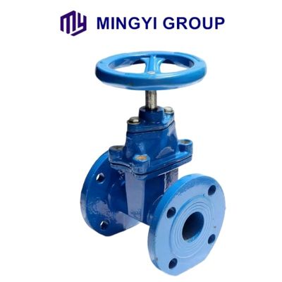 Afhankelijk van de specificaties DN40-DN1200 PN6-PN10-PN16 OS Y Metal Seat Flanged Gate Valve