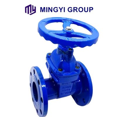 Op maat gemaakte Dutile Iron Flanged Soft Seal Py16 Gate Valve met handmatig bediende functie