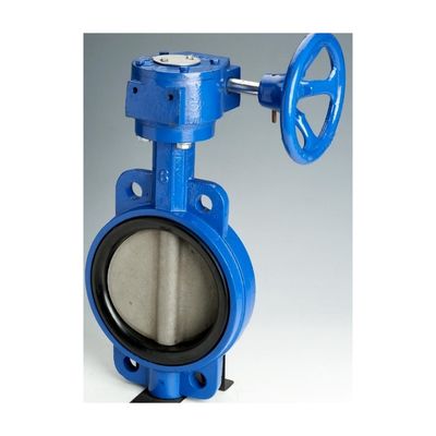 OEM gietijzeren wormgear-operator Dubbele flens EPDM/NBR zitplaats roestvrijstalen schijf Lug Wafer Butterfly Valve