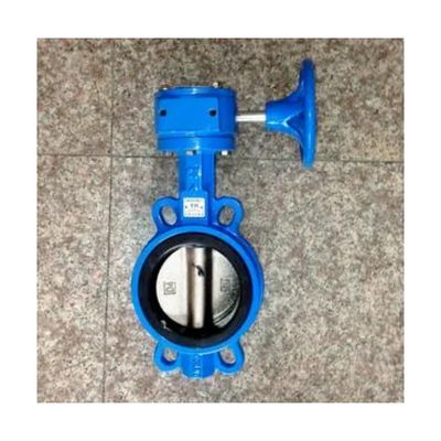OEM gietijzeren wormgear-operator Dubbele flens EPDM/NBR zitplaats roestvrijstalen schijf Lug Wafer Butterfly Valve