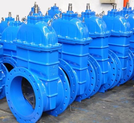 Grote grootte flensterde buigsame ijzeren sluispoortklep voor water lange levensduur