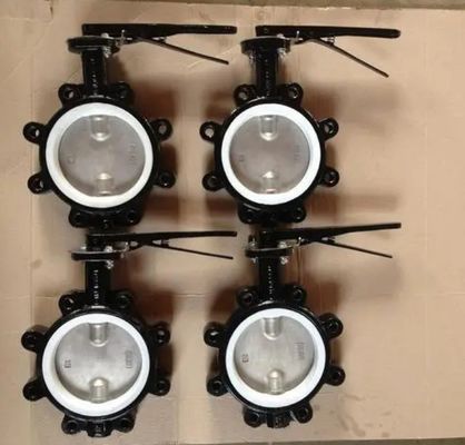 Aanpasbare DN600 DI CI Body SS Disc Lug Sewage Butterfly Valve voor verschillende industrieën