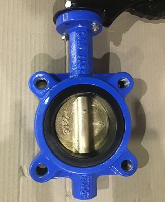 Aanpasbare DN600 DI CI Body SS Disc Lug Sewage Butterfly Valve voor verschillende industrieën
