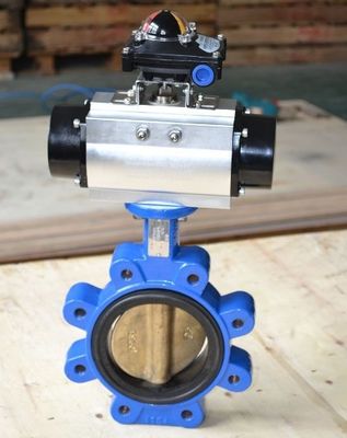 Aanpasbare DN600 DI CI Body SS Disc Lug Sewage Butterfly Valve voor verschillende industrieën