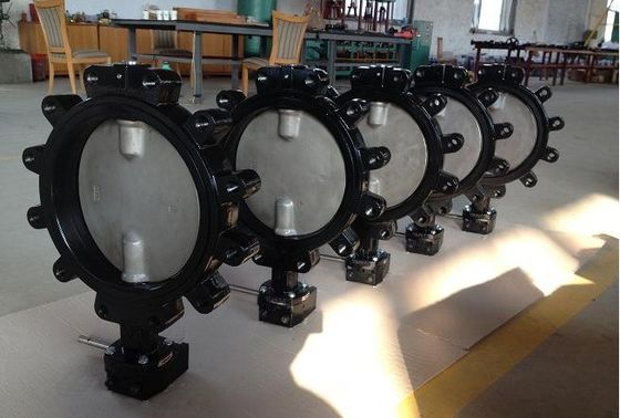 Aanpasbare DN600 DI CI Body SS Disc Lug Sewage Butterfly Valve voor verschillende industrieën