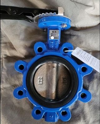 Op maat gemaakte service en ODM Lug Type Butterfly Valve met handhefboom