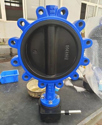 Op maat gemaakte service en ODM Lug Type Butterfly Valve met handhefboom