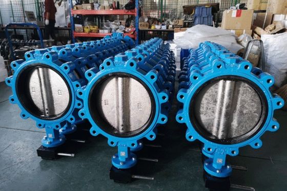 Op maat gemaakte service en ODM Lug Type Butterfly Valve met handhefboom