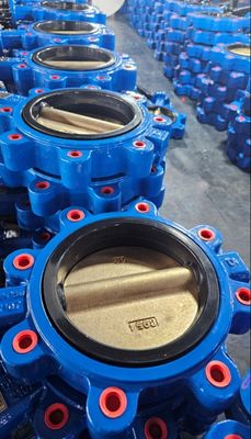 EPDM-stoel zachte afdichting hefboom bediend wafer lug vlinder klep met aangepaste opties