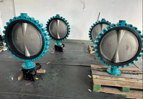 Laagtemperatuur gietijzeren wafer Lug Type Butterfly Valve Distributor