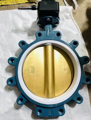 Laagtemperatuur gietijzeren wafer Lug Type Butterfly Valve Distributor