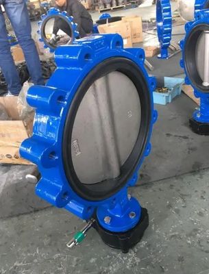 OEM-ondersteunde PN10/16 gietijzeren klep voor vlinders met een op maat gemaakte service