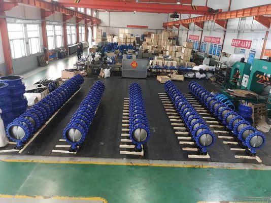 Watermedia Sanitaire roestvrij staal CF8 WCB Ductiel ijzer Volledig aangepakt Lug Butterfly Valve