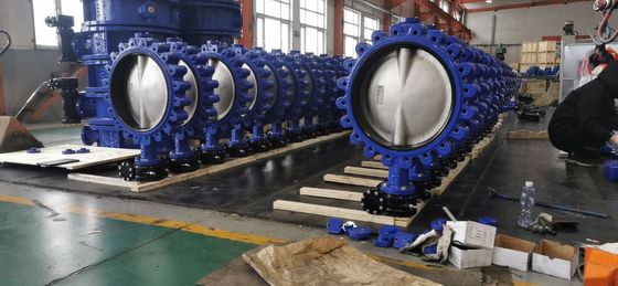 Watertoepassingen vlinderkleppen AWWA Wafer Lug Double Flanged C954