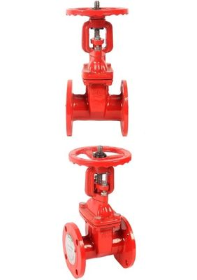 Krijg de beste waterbeheerervaring met 3 " handmatig stijgend stamflensdeursleutel