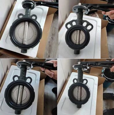 Korea Japan Standard JIS 10K DK vlinderklep met hydraulische functie