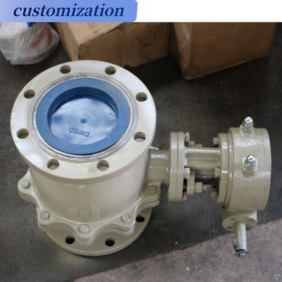 Gasmedia DN300 EPDM Gelaagd Rubber Flange Butterfly Valve met op maat gemaakte OBM-ondersteuning