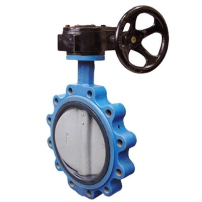 Gasmedia Lug Concentric Butterfly Valve met aanpasbare poortgrootte en zachte afdichting