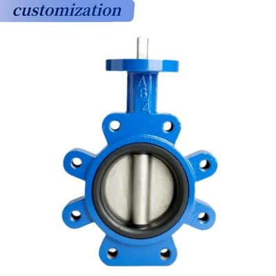 Laagtemperatuur buigzame ijzeren vlinderklep Blauwe epoxycoating voor hydraulische systemen