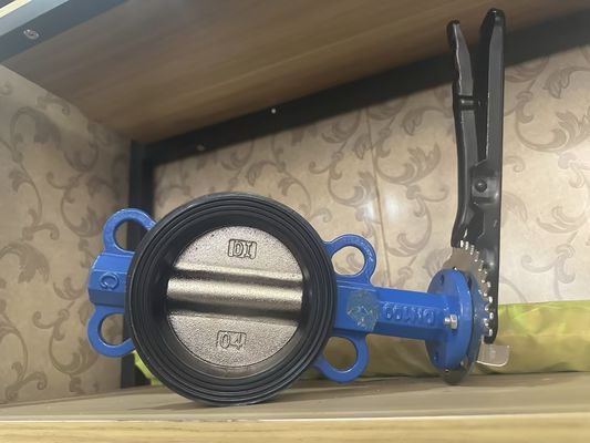1 inch sanitair roestvrij staal pneumatische vlinderklep met aangepaste structuur