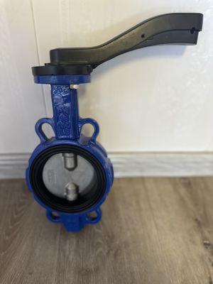 Roestvrij staal vlinderklep voor FMC Lug Type Op maat gemaakt en ondersteund door OEM-ondersteuning