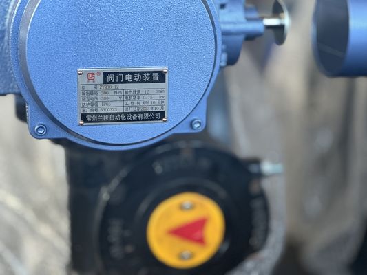 Op maat gemaakte service SS304 roestvrij staal sanitair vlinderklep met handhefboom