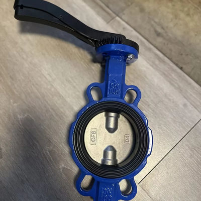 18 inch Butterfly Valve Wafer Type Dual Plate Check met aangepaste service en ondersteuning
