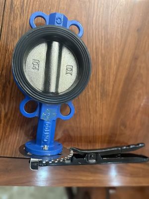 18 inch Butterfly Valve Wafer Type Dual Plate Check met aangepaste service en ondersteuning