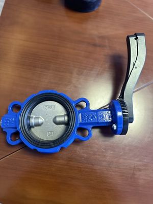 18 inch Butterfly Valve Wafer Type Dual Plate Check met aangepaste service en ondersteuning