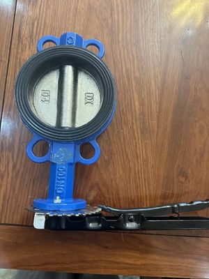 Op maat gemaakte service Manual Butterfly Valve voor OEM Ductile Iron Flange Lug Wafer Type