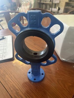 Op maat gemaakte service Manual Butterfly Valve voor OEM Ductile Iron Flange Lug Wafer Type