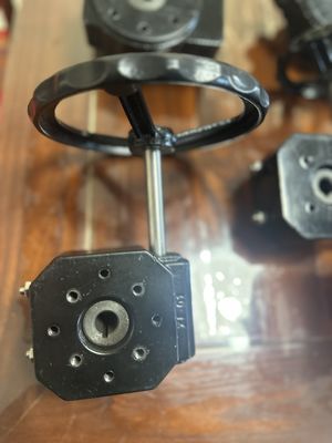200 mm PTFE gelijnd vlinderklep voor handmatige bediening in industriële toepassingen