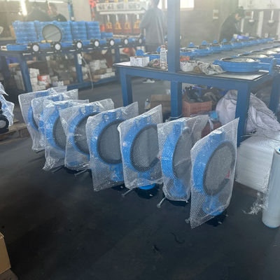 OEM Port Grootte gietijzer Extensie vlinder klep met ondersteunende after-sales service